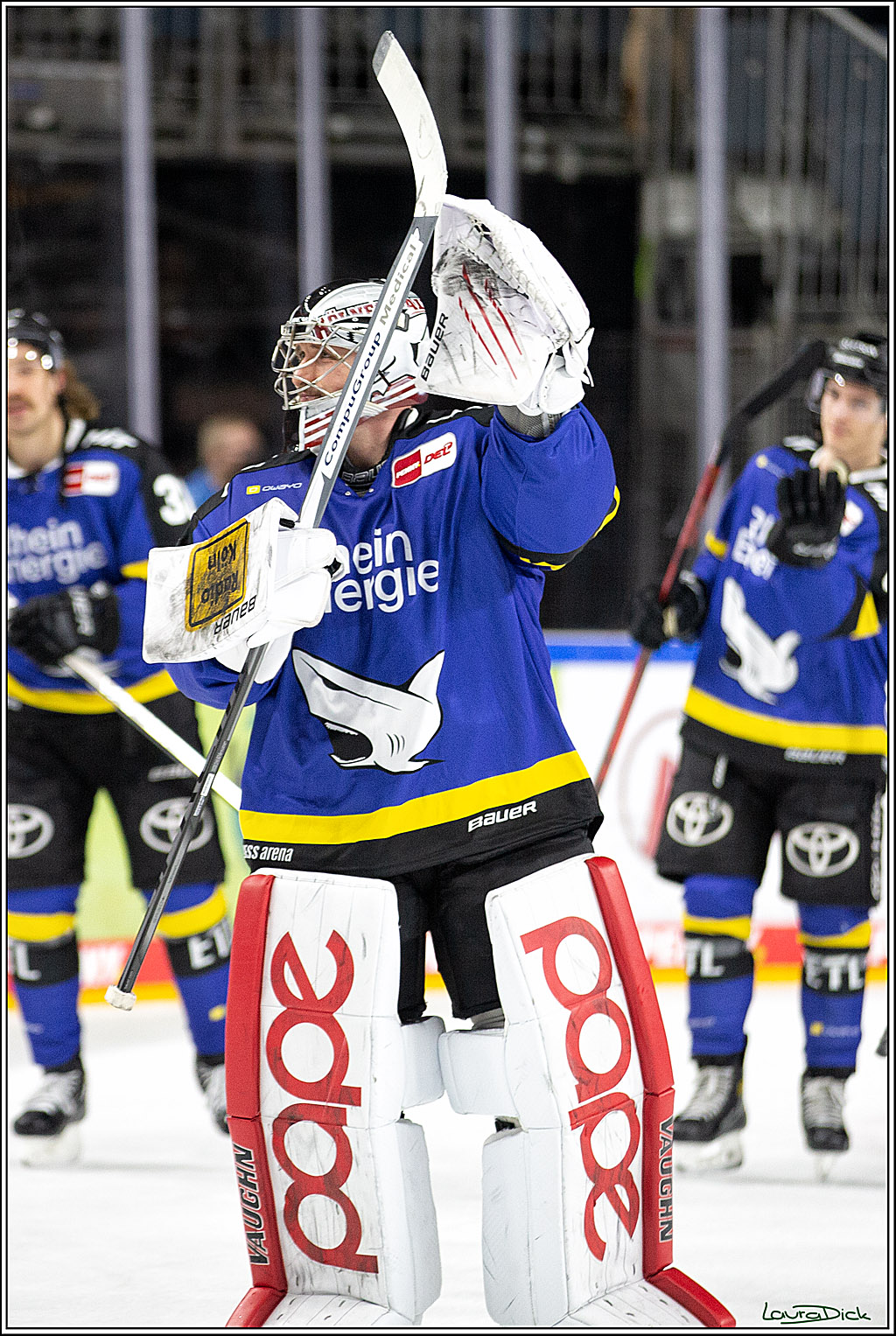 PENNY DEL; Koelner Haie- Fishtown Pinguins Bremerhaven; Koeln, 23.11.2021